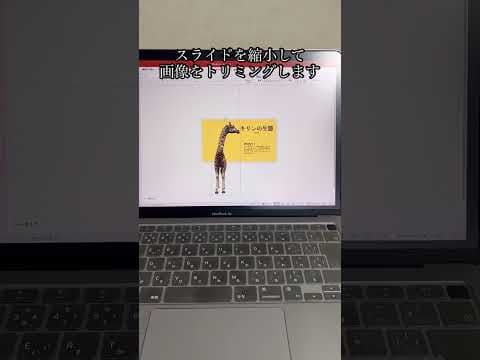 【PowerPoint】オシャレなスライドの作り方！　　　　　　　　　#パワーポイント #パワポ #powerpoint #パソコン #パソコンスキル #資料作成