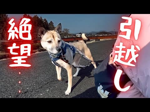 理想の田舎暮らしのはずが!?まさかの“地獄”でした。