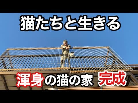 マーキング地獄からの大逆転を狙う!!愛の詰まった"猫の家"完成までの軌跡