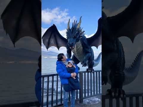 Lake Biwa Dragon