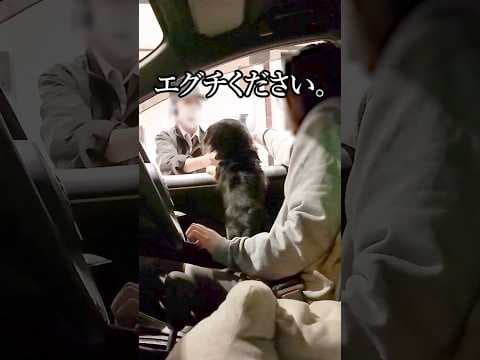 マックのドライブスルーで注文する犬