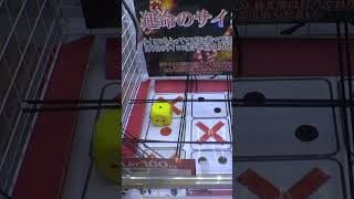 サイコロを揃えてポケカBOXを狙うクレーンゲームでレアBOXGETしてみたww＃ポケモン