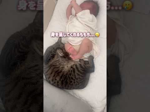赤ちゃんが泣き始めると優しい猫がまさかの行動に【とらまる】