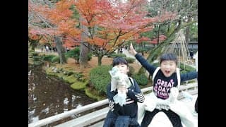 20191124 金沢・兼六園　Japanese traditional garden, Kenrokuen