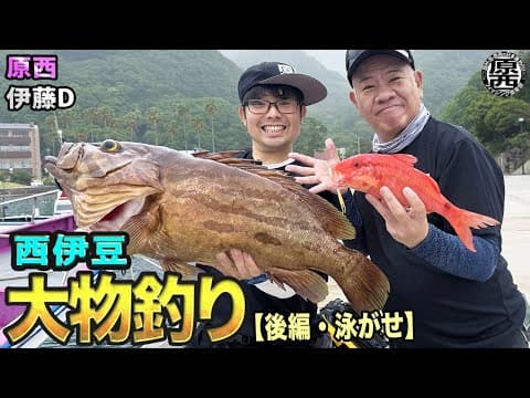原西の西伊豆【大物釣り】(後編・泳がせ釣り)落とし込み②