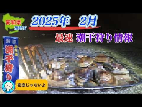 2025年最速潮干狩り情報。今年はヤバイかも⁉️