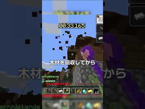 【世界記録...】エンドラRTA史上最大の悲劇【マイクラ豆知識 解説 裏技】
