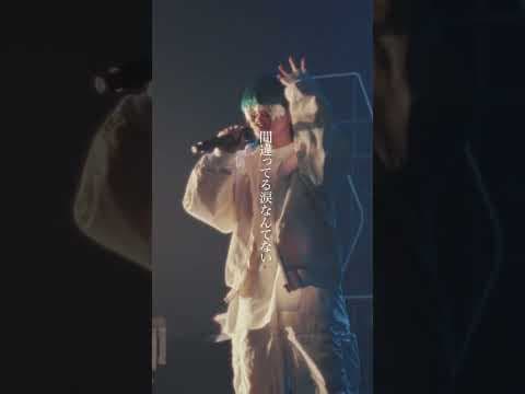 色彩 / yama（the meaning of life TOUR2025）