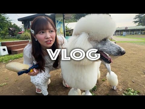 妄想では付き合ってる彼女とわんわんレンタルお散歩デート【VLOG】