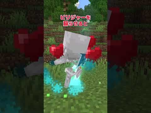【アドオン紹介】蘇れば終わりじゃない【統合版マイクラ】