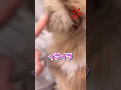 イライラ💢あれ？ビジュいいじゃん...