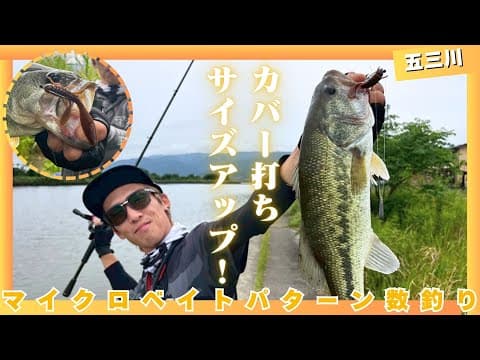 アーリーサマーの五三川を攻める！【ルアー合衆国】