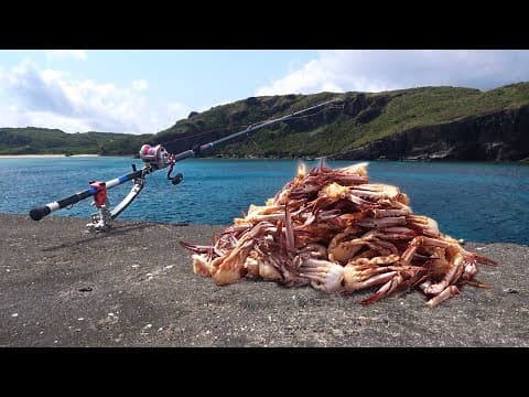 未開拓の堤防で大量のカニを餌に釣りをすると…？#4【与那国遠征2025】