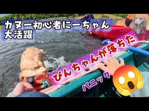 【ぺんこぴんこのお泊まり修行旅3】ぴんちゃんカヌー転落！初心者のにーちゃん大活躍【母カメラ】