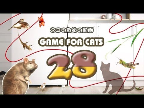 【猫用動画MIX28】バッタ・ねずみ・トカゲ・鳥 ８時間 GAME FOR CATS 28