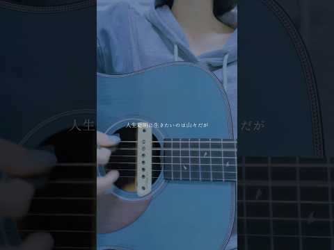 ライラック/美波