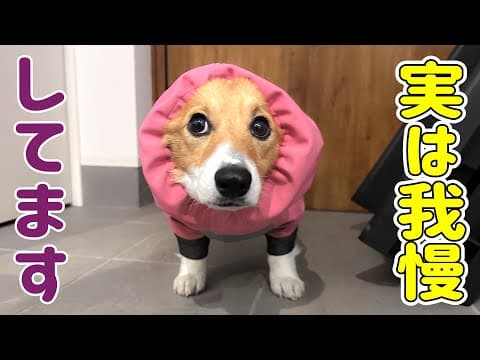 実はトイレの悩みがあります…！