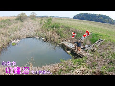春の印旛で良い場所見つけた！ 良型〇〇連発～♪  印西市 印旛沼で小物釣り。