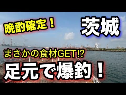 旬のシマアジを追え！まさかの魚が晩酌の主役に！【2025.5】