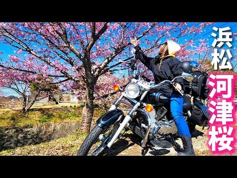 バイクの免許を取って３年、初めての桜を見に行きました