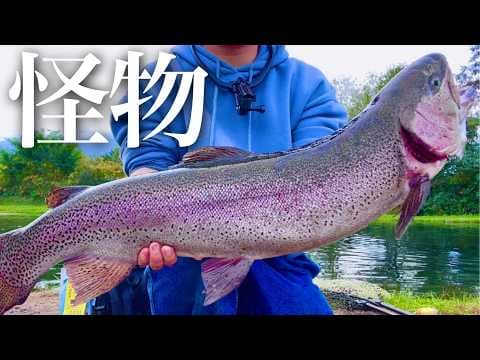 【人生最大記録】大物爆釣が止まらない!!怪物たちの楽園はここにあった...【エリアトラウト】【管理釣り場】【ユーランド清水川】