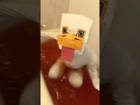 Chicken Jockey Cosplay🐔🔥