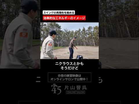 スイングの再現性を高める効率的なエネルギーのイメージの仕方 #片山晋呉 #golf # #ゴルフ #shorts