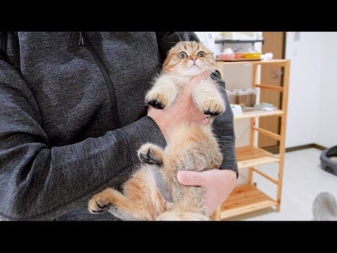 The kitten's reaction when he met his owner after four days was so cute!