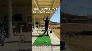 『極めたい』カッコいい前傾キープのスイング #골프 #golf #ゴルフスイング #golfswing #iron