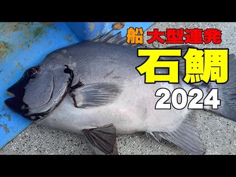 《三重》【永久保存】これが鳥羽のデカ石鯛釣りだ！2024 6 3功成丸石鯛船釣り