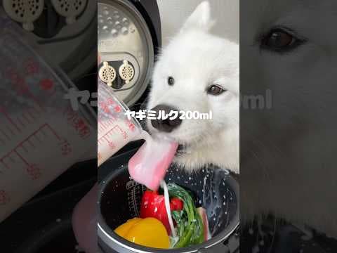 サーモンのパプリカスープつくってる間にヤギミルク200mlがどのくらい減っているのか検証してみた！